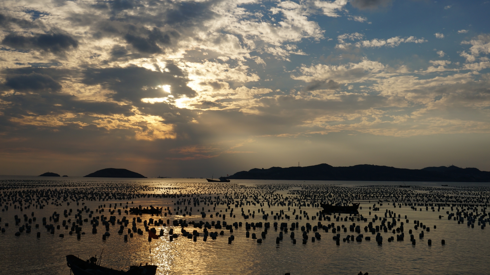 第一次海岸——枸杞岛 第10张