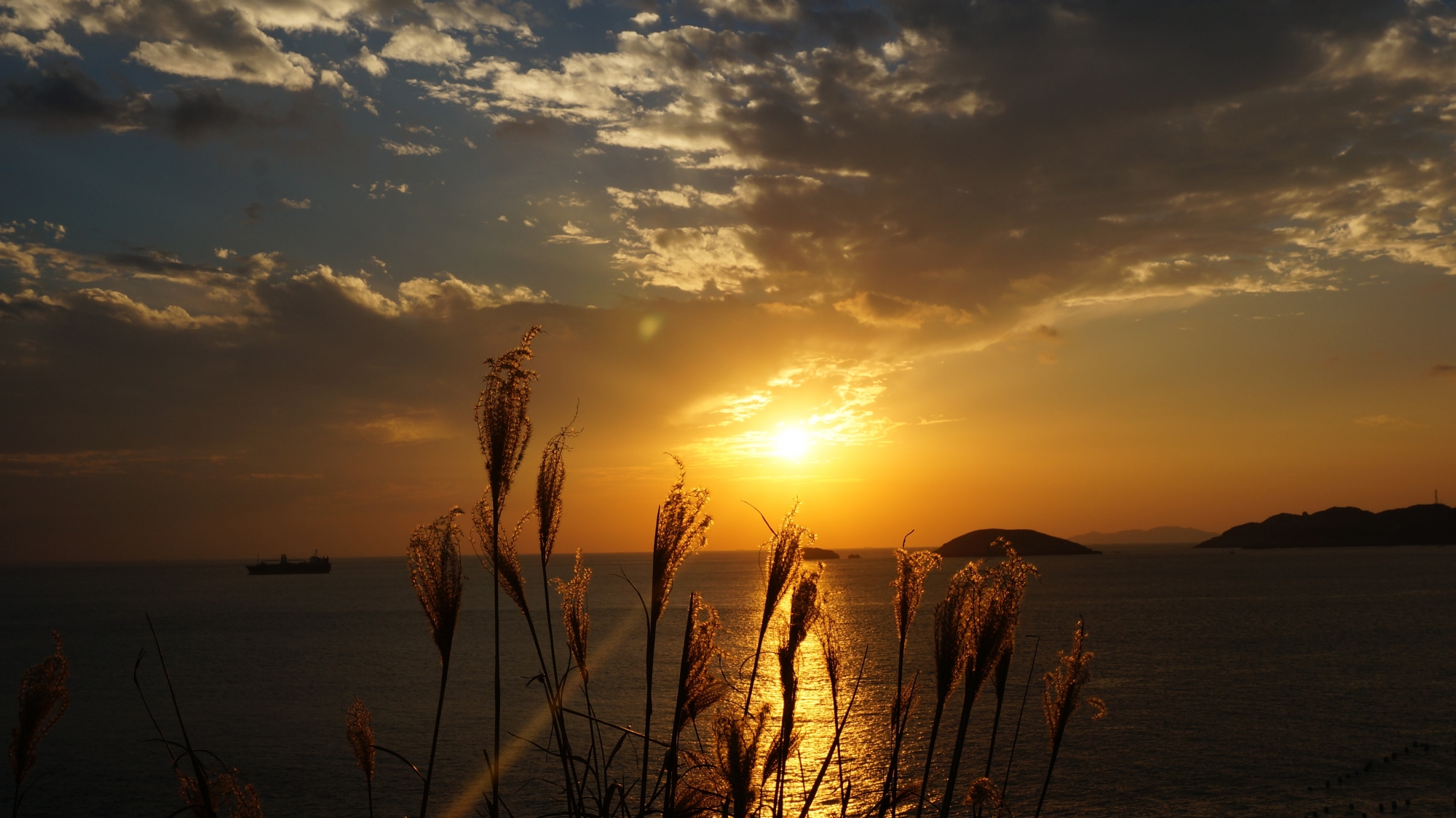 第一次海岸——枸杞岛 第7张
