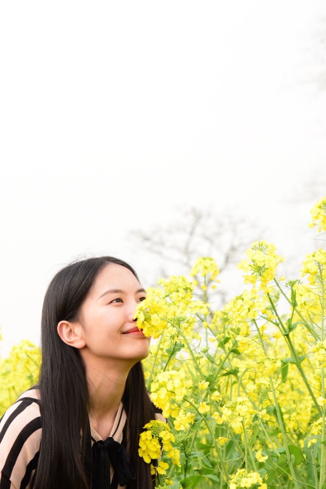 潼南菜花节 第12张